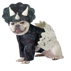 Stegosaurus Dino Pup Pet Costume- size small
